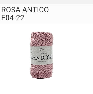 Rosa antico