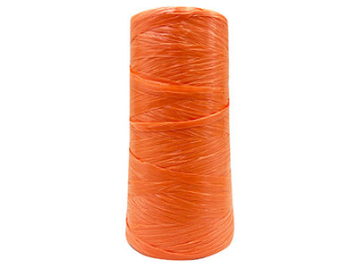 Arancio RAF-6