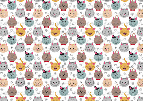 Gattini