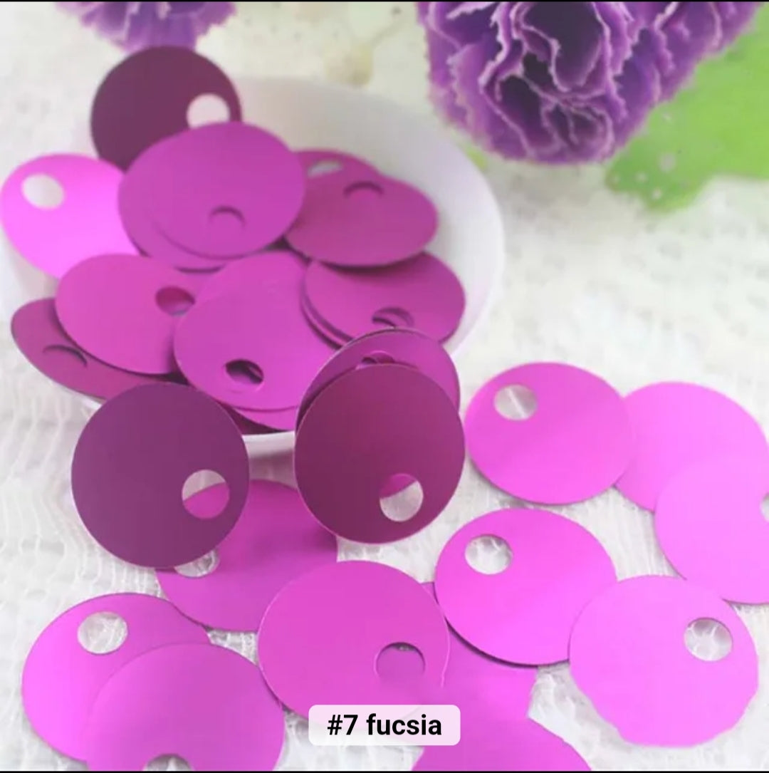 Paillettes grandi 20 cm foro mm 20 gr