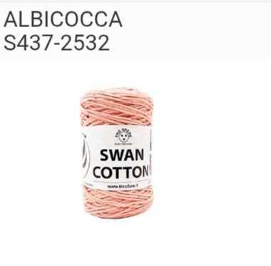 Albicocca 2532