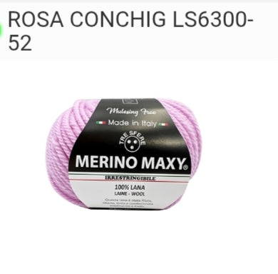 Rosa conchiglia 52