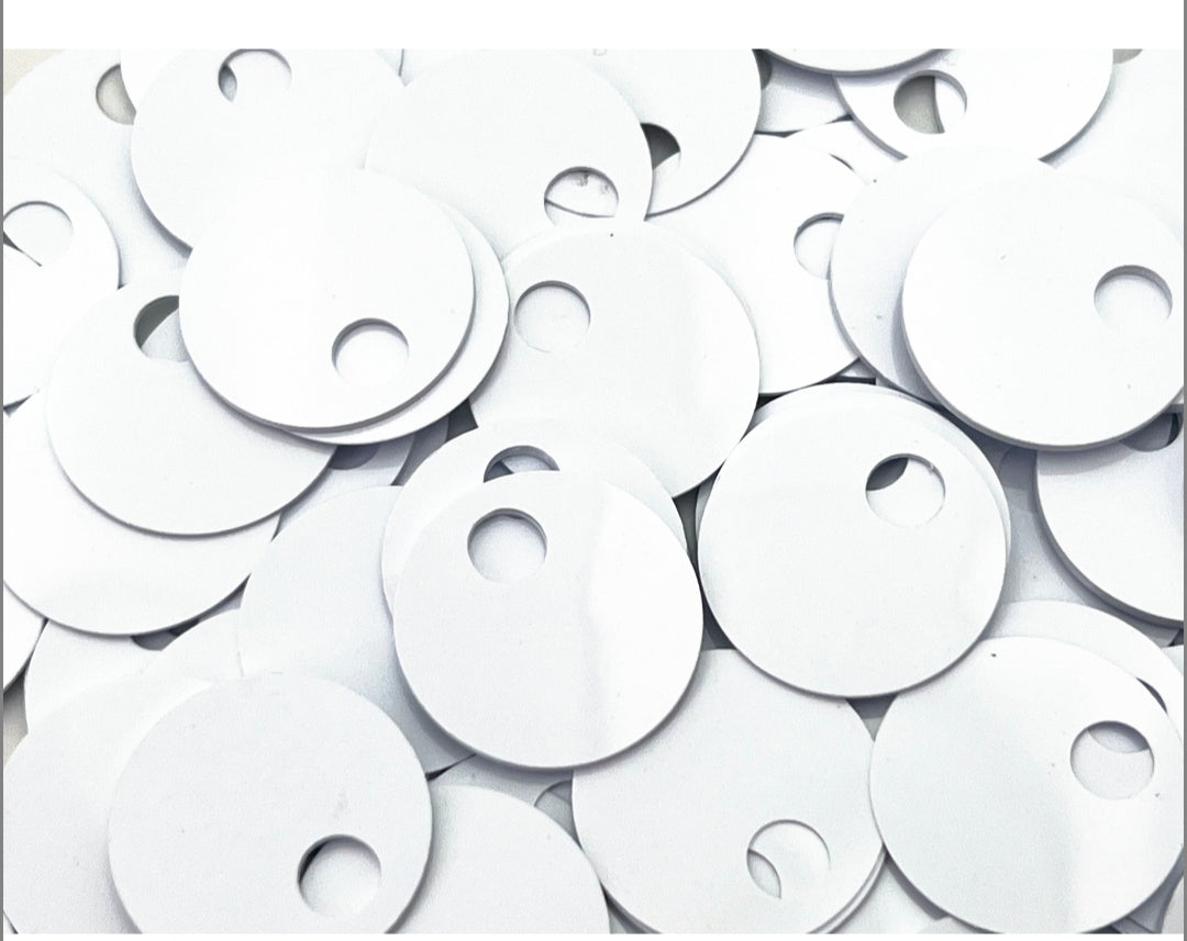 Paillettes grandi 20 cm foro mm 40 gr 540 pezzi